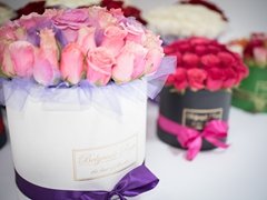 belgraderoses03