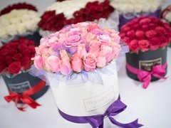 belgraderoses05