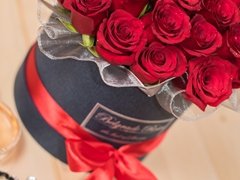 belgraderoses11