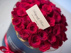 belgraderoses24
