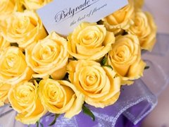 belgraderoses26